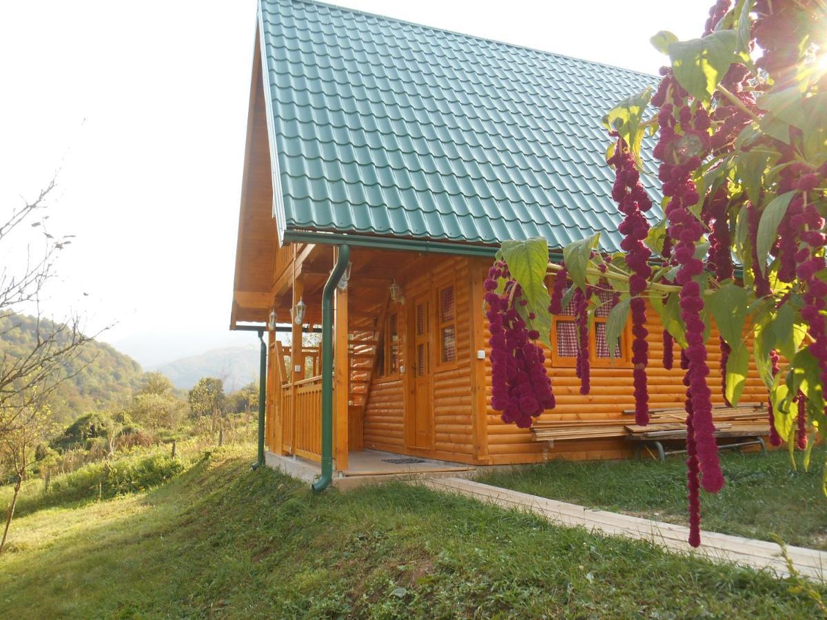 Motel Bavaria ฟอชา ภายนอก รูปภาพ